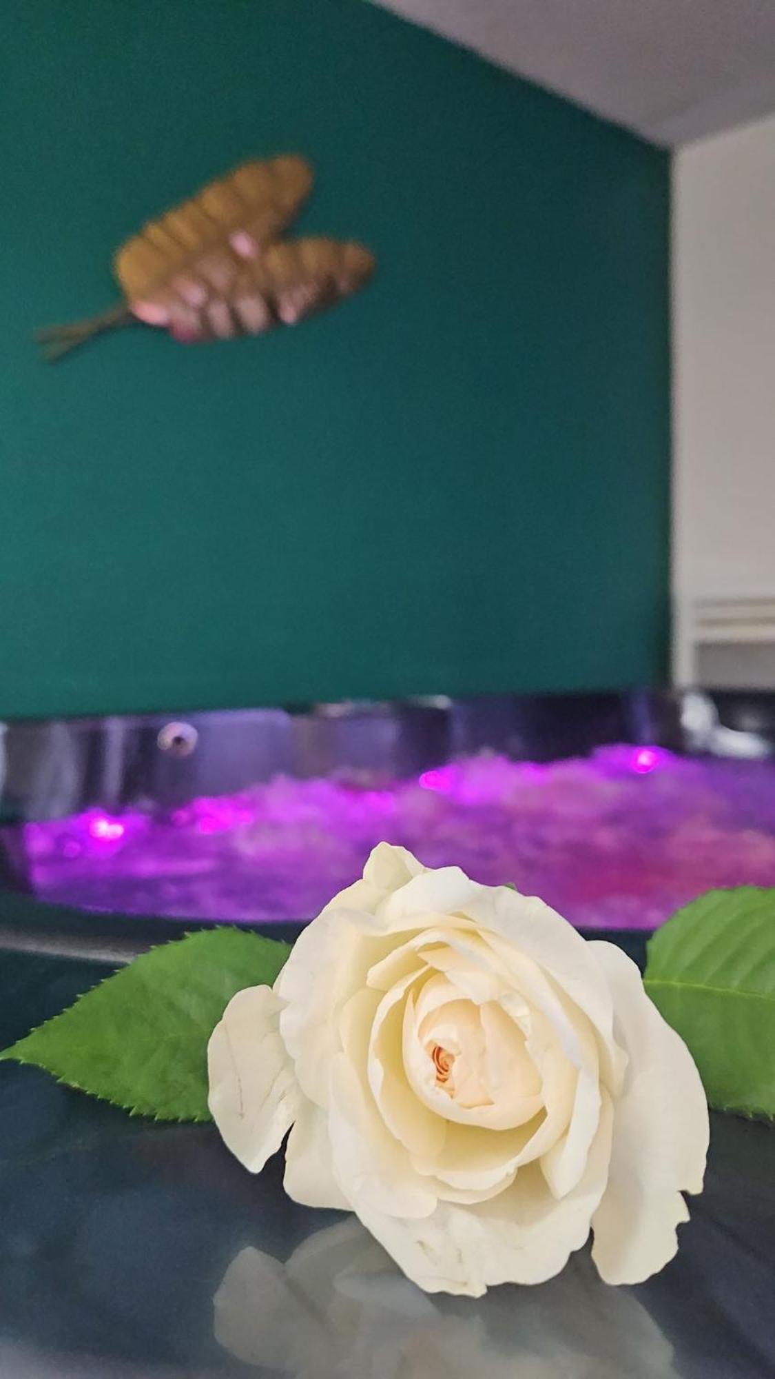 Suite Jacuzzi "Spa Privatif " Appartement Jacuzzi Toulouse Exteriör bild